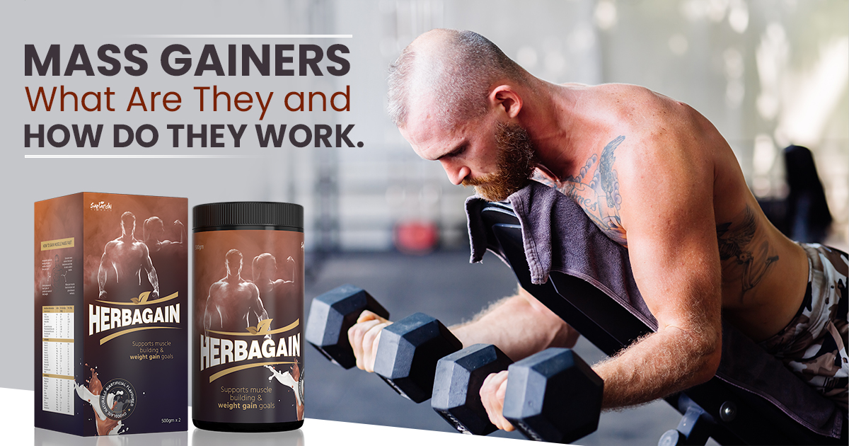 Mass Gainers: What Are They and How Do They Work?